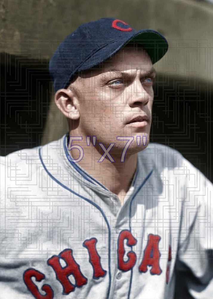 Danny Taylor - 1930 Chicago Cubs - choose a size & style