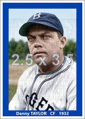 Danny Taylor - 1932 Brooklyn Dodgers - choose a size & style