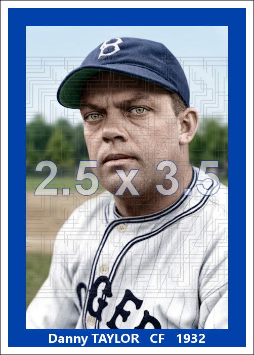 Danny Taylor - 1932 Brooklyn Dodgers - choose a size & style