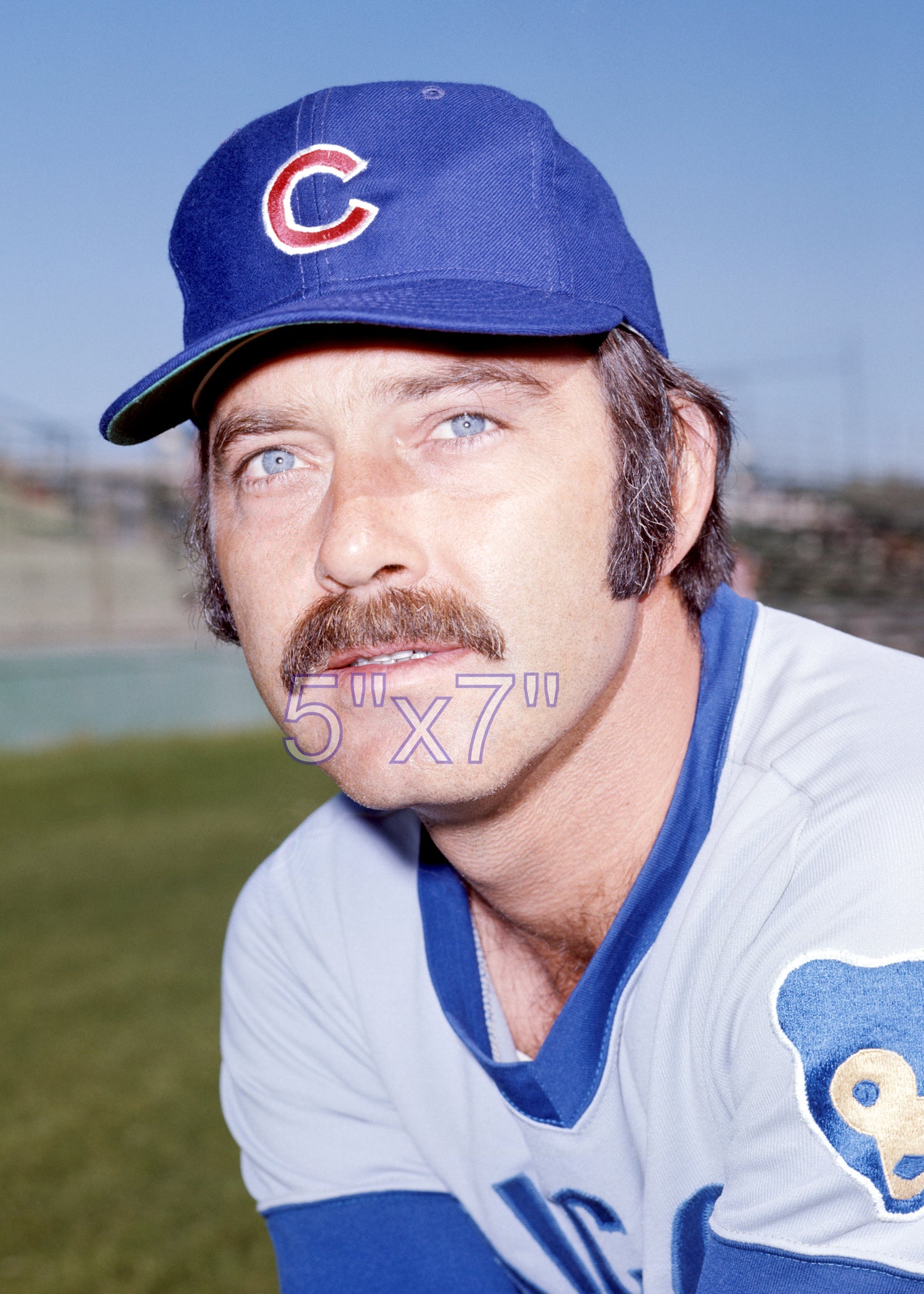 Darold Knowles - 1976 Chicago Cubs - choose a size & style