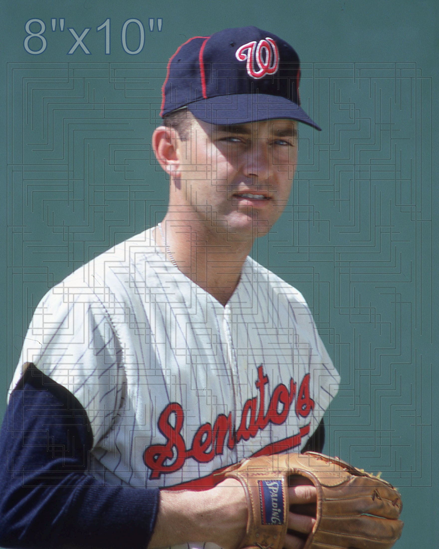 Darold Knowles - 1967 Washington Senators - choose a size & style