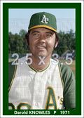Darold Knowles - 1971 Oakland Athletics - choose a size & style