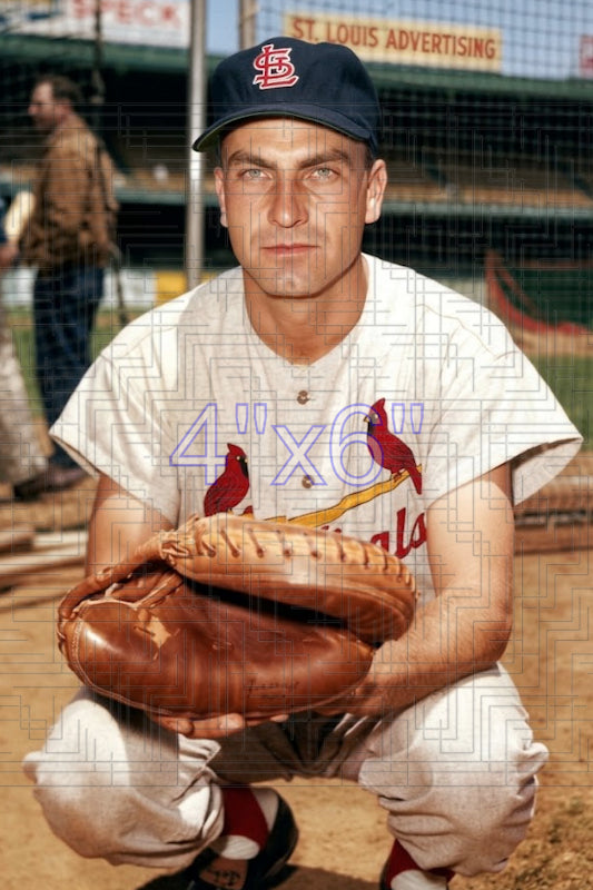 Darrell Johnson - 1960 St. Louis Cardinals - choose a size & style
