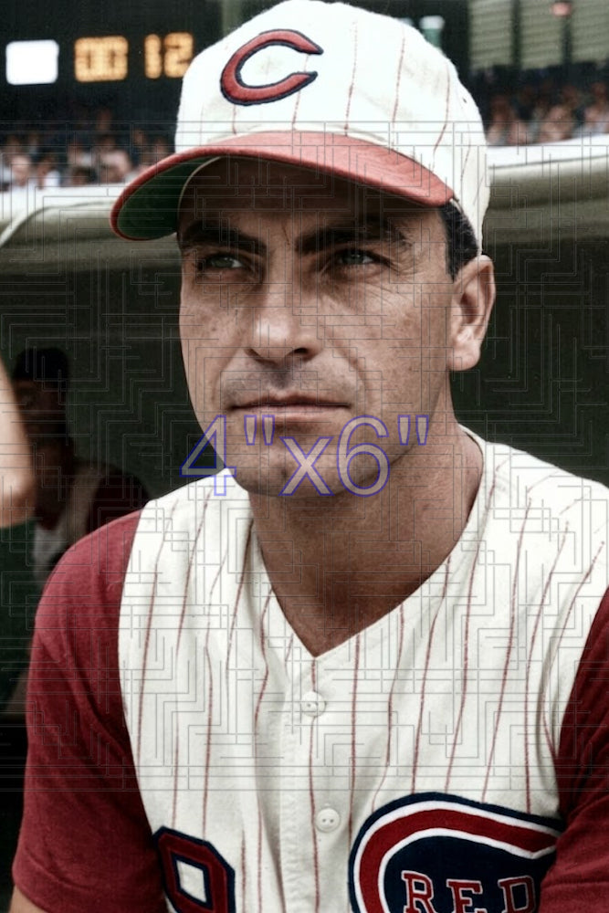 Darrell Johnson - 1961 Cincinnati Reds - choose a size & style