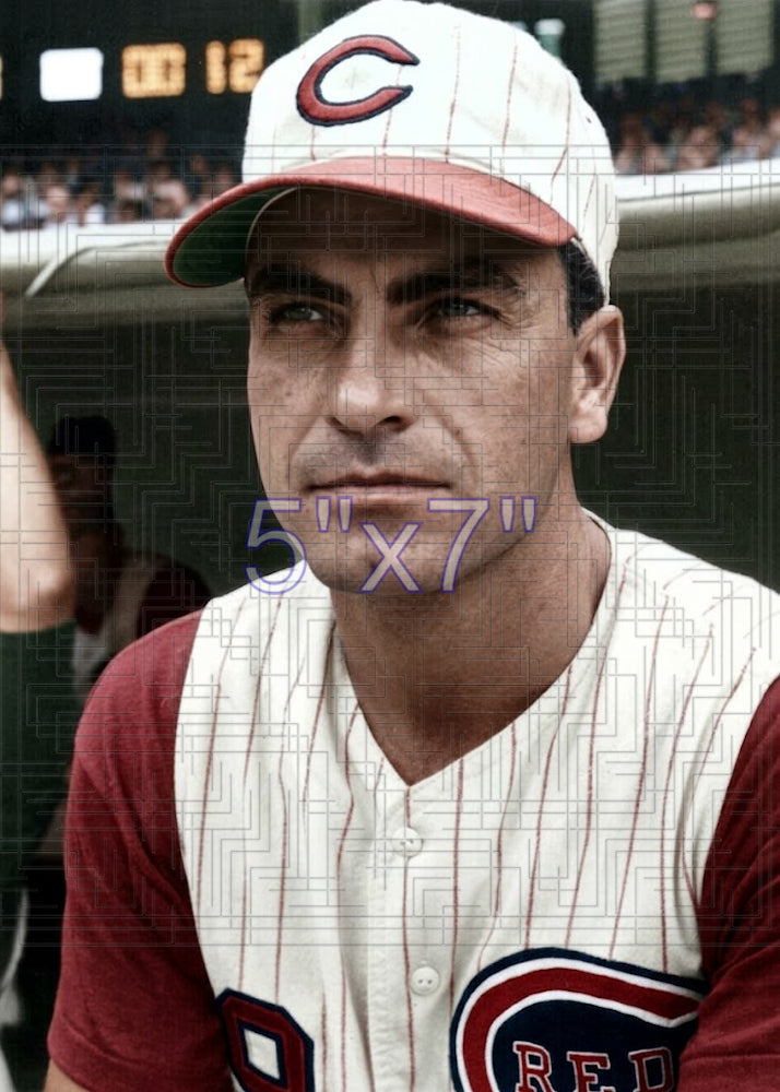 Darrell Johnson - 1961 Cincinnati Reds - choose a size & style