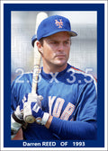 Darren Reed - 1993 New York Mets - choose a size & style