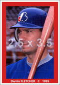 Darrin Fletcher - 1995 Montreal Expos - choose a size & style