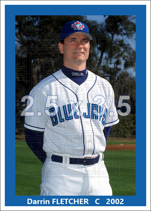 Darrin Fletcher - 2002 Toronto Blue Jays - choose a size & style