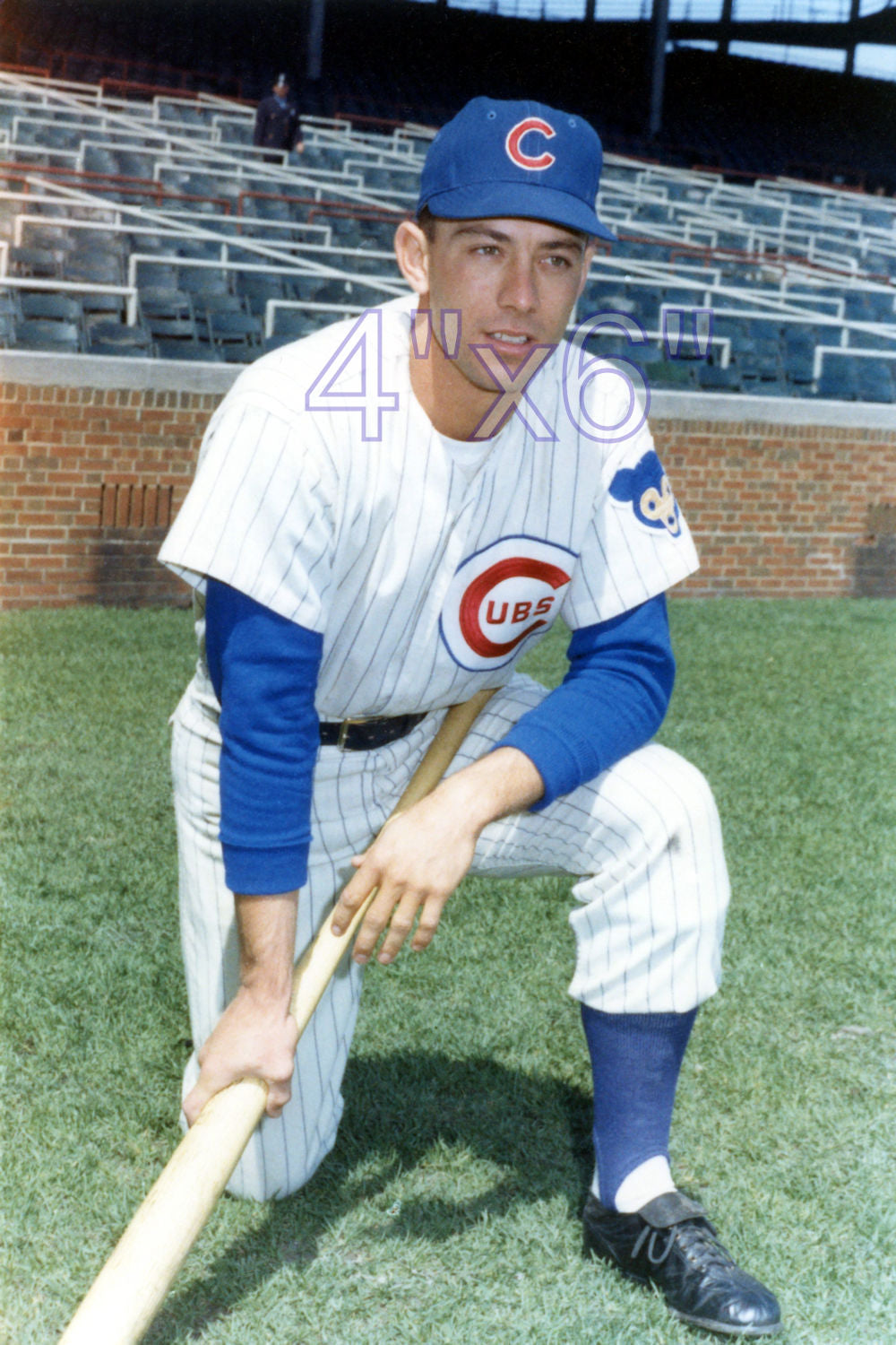 Daryl Robertson - 1962 Chicago Cubs - choose a size & style