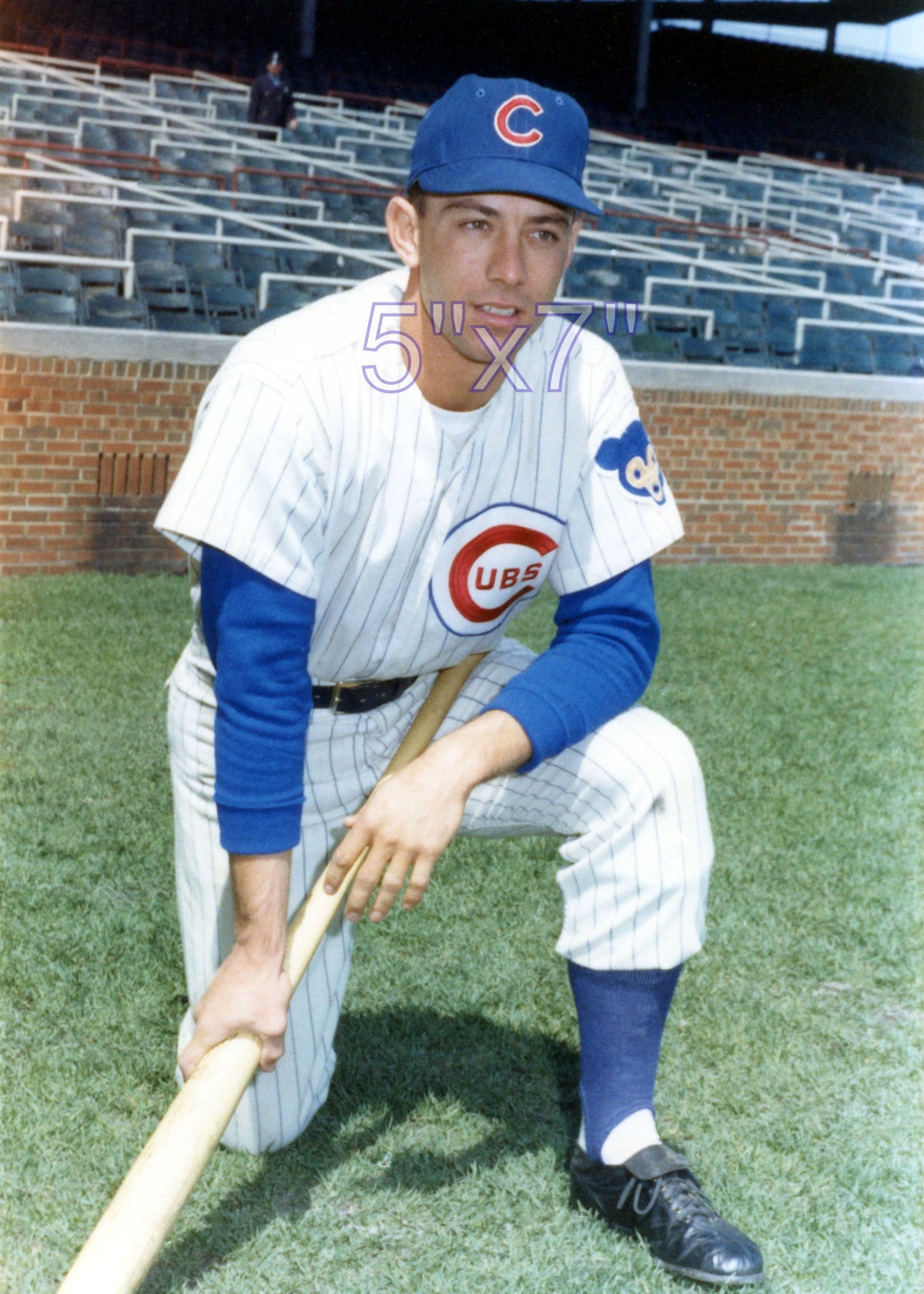 Daryl Robertson - 1962 Chicago Cubs - choose a size & style