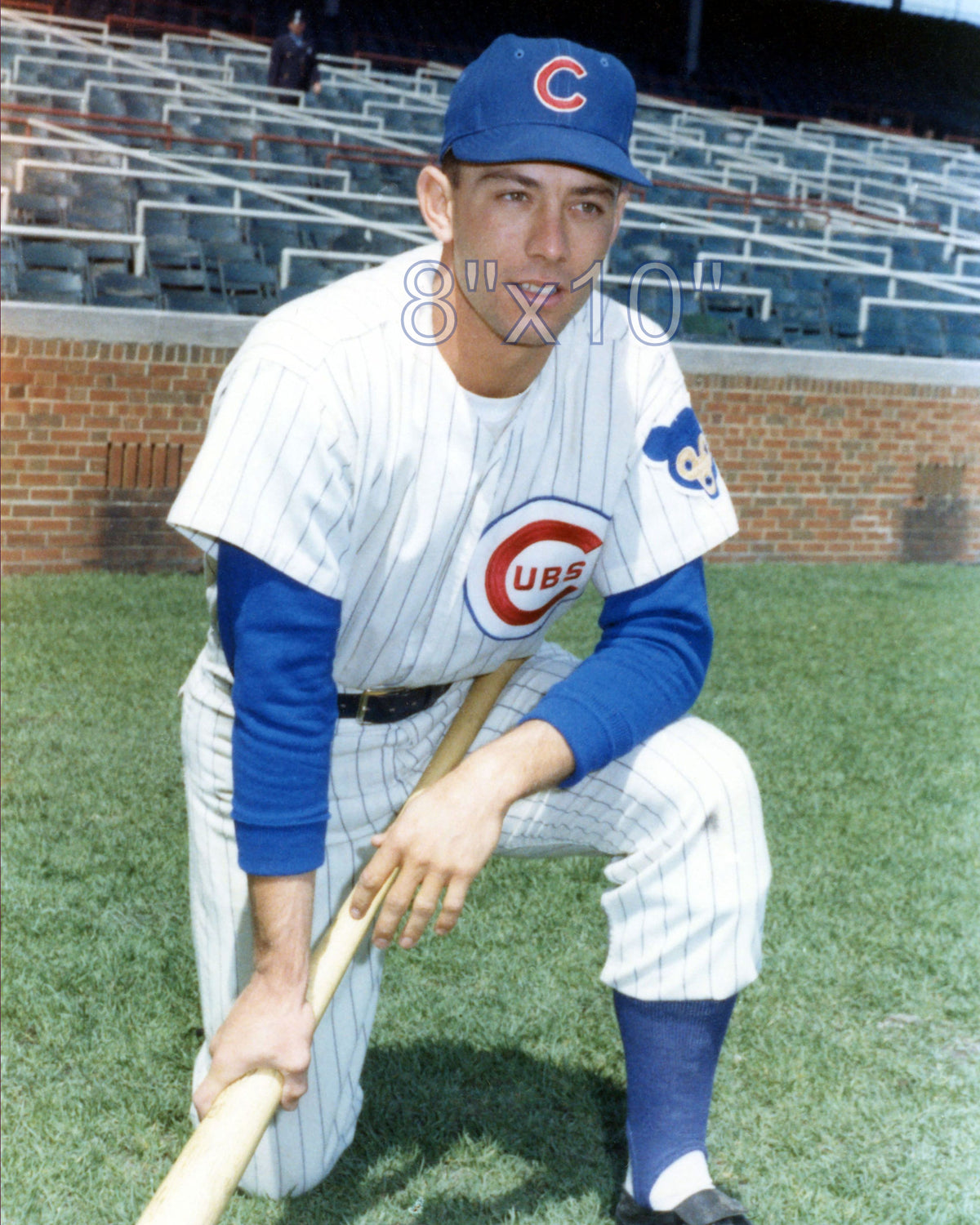 Daryl Robertson - 1962 Chicago Cubs - choose a size & style
