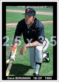 Dave Bergman - 1984 San Francisco Giants - choose a size & style