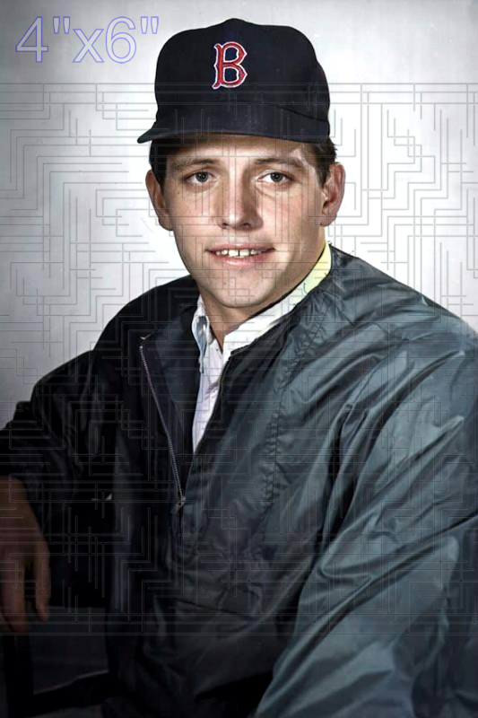 Dave Gray - 1964 Boston Red Sox - choose a size & style