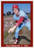 Dave Hamilton - 1978 St. Louis Cardinals - choose a size & style