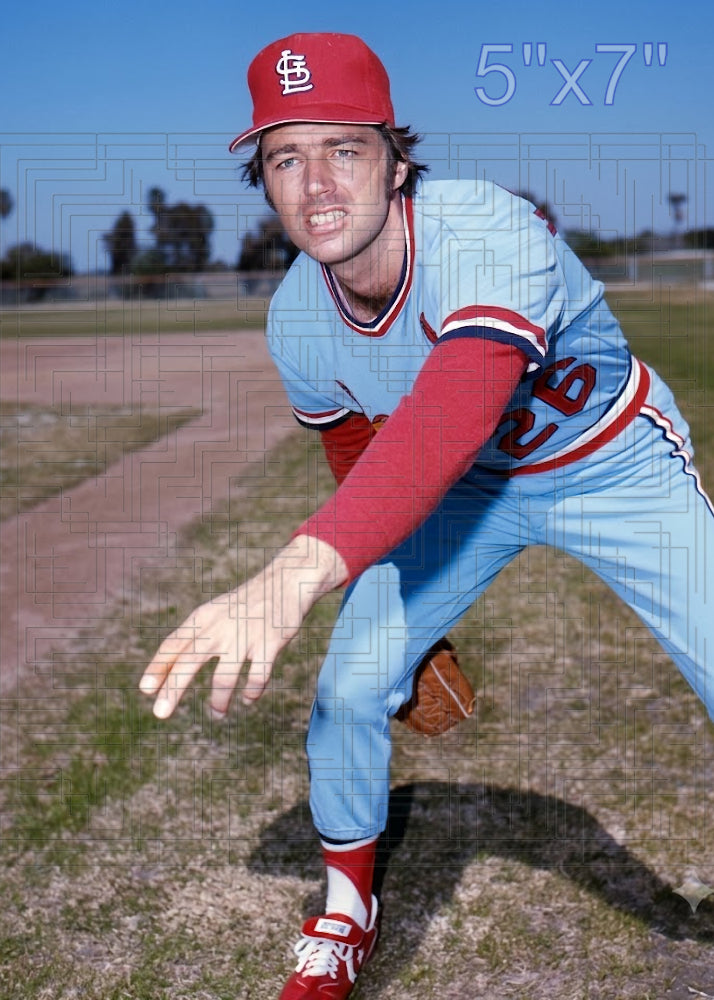 Dave Hamilton - 1978 St. Louis Cardinals - choose a size & style