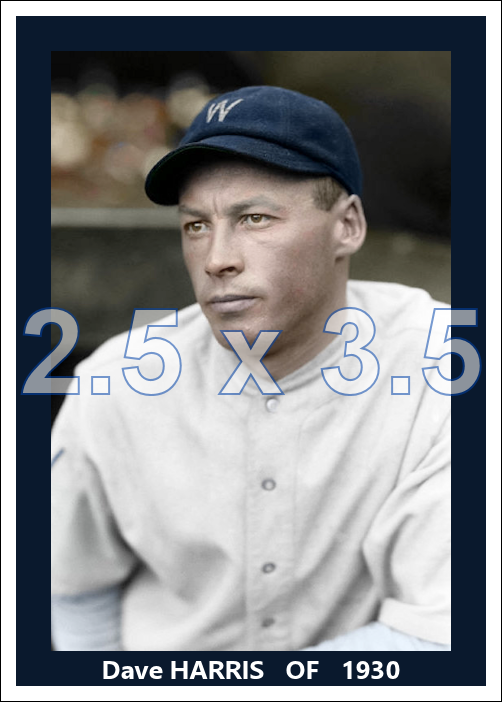 Dave Harris - 1930 Washington Senators - choose a size & style