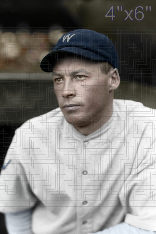 Dave Harris - 1930 Washington Senators - choose a size & style