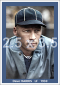 Dave Harris - 1930 Chicago White Sox - choose a size & style