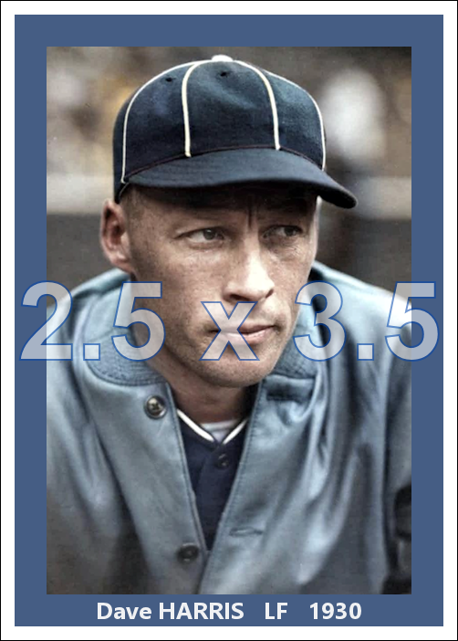Dave Harris - 1930 Chicago White Sox - choose a size & style