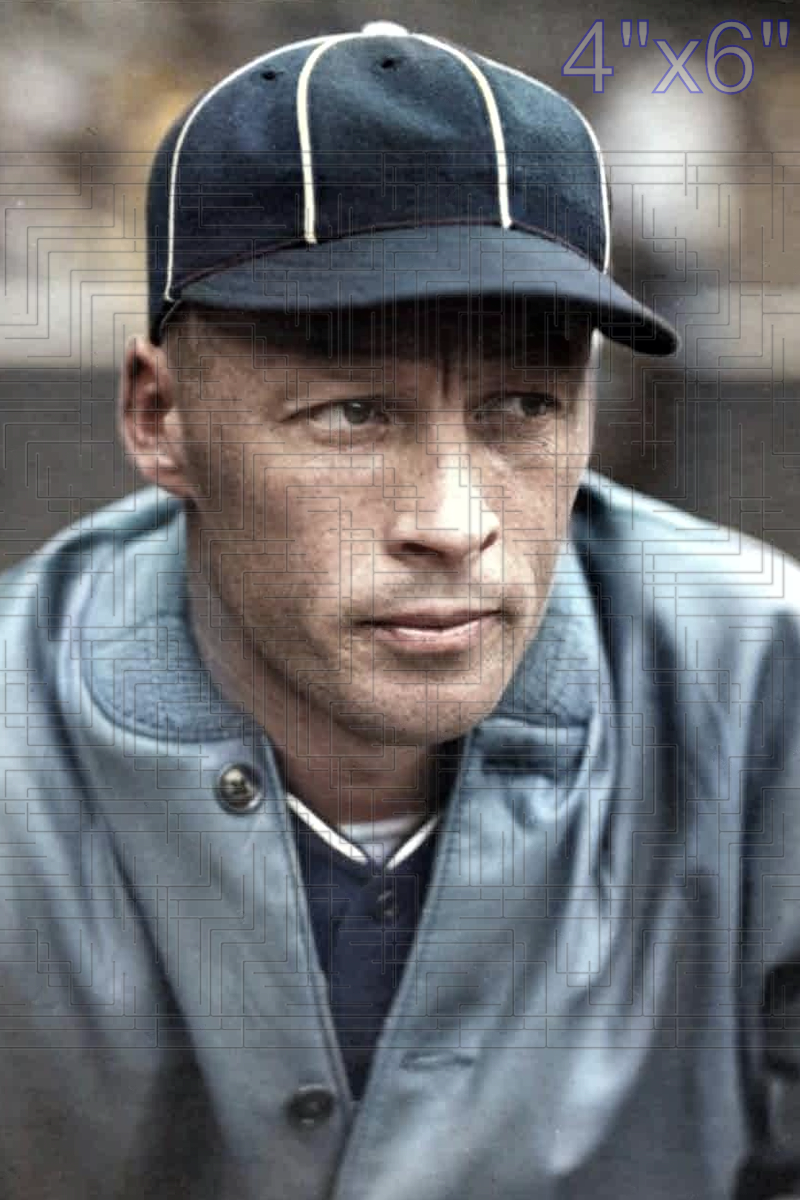 Dave Harris - 1930 Chicago White Sox - choose a size & style