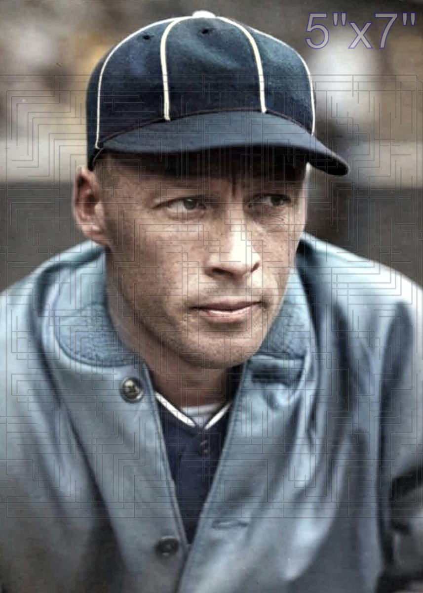 Dave Harris - 1930 Chicago White Sox - choose a size & style