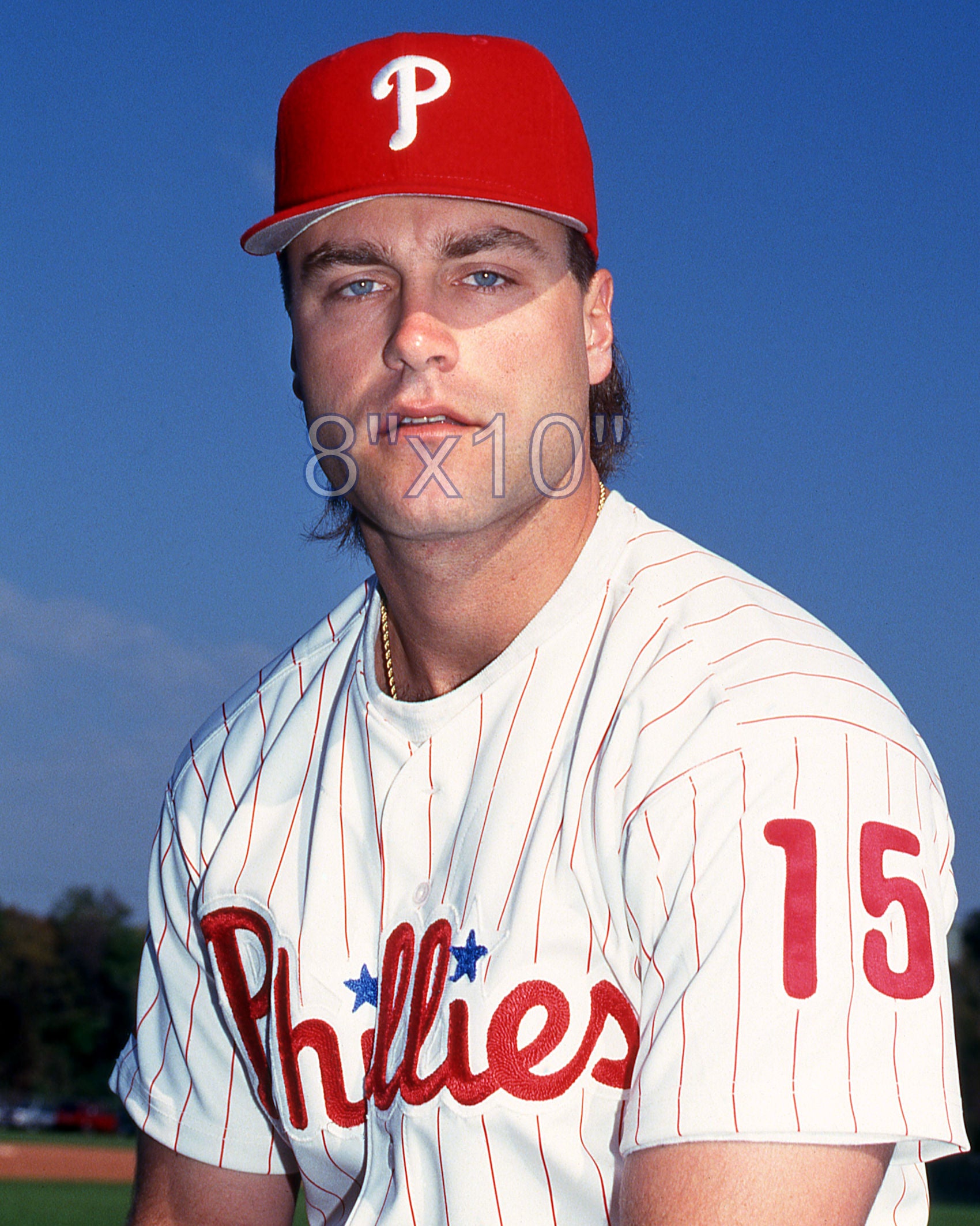 Dave Hollins - 1994 Philadelphia Phillies - choose a size & style