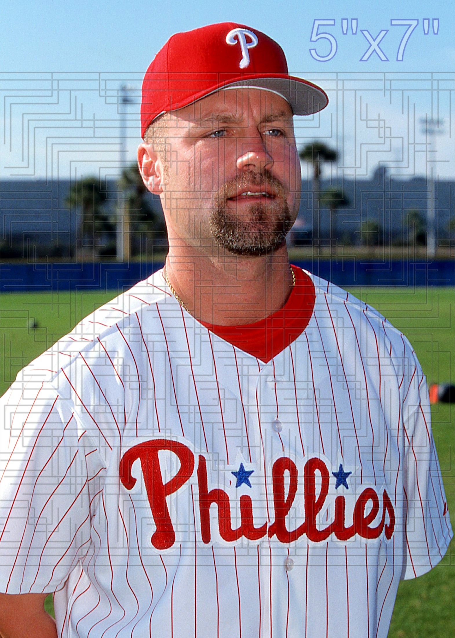 Dave Hollins - 2002 Philadelphia Phillies - choose a size & style