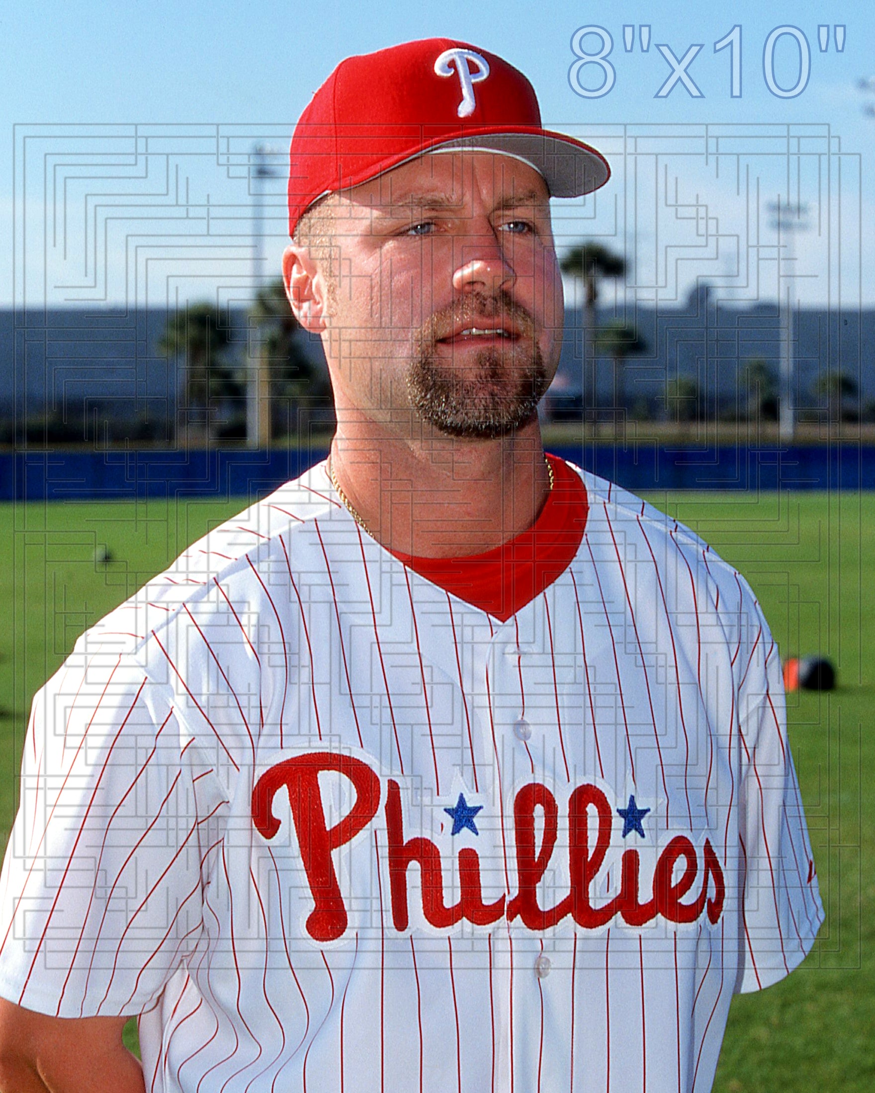 Dave Hollins - 2002 Philadelphia Phillies - choose a size & style