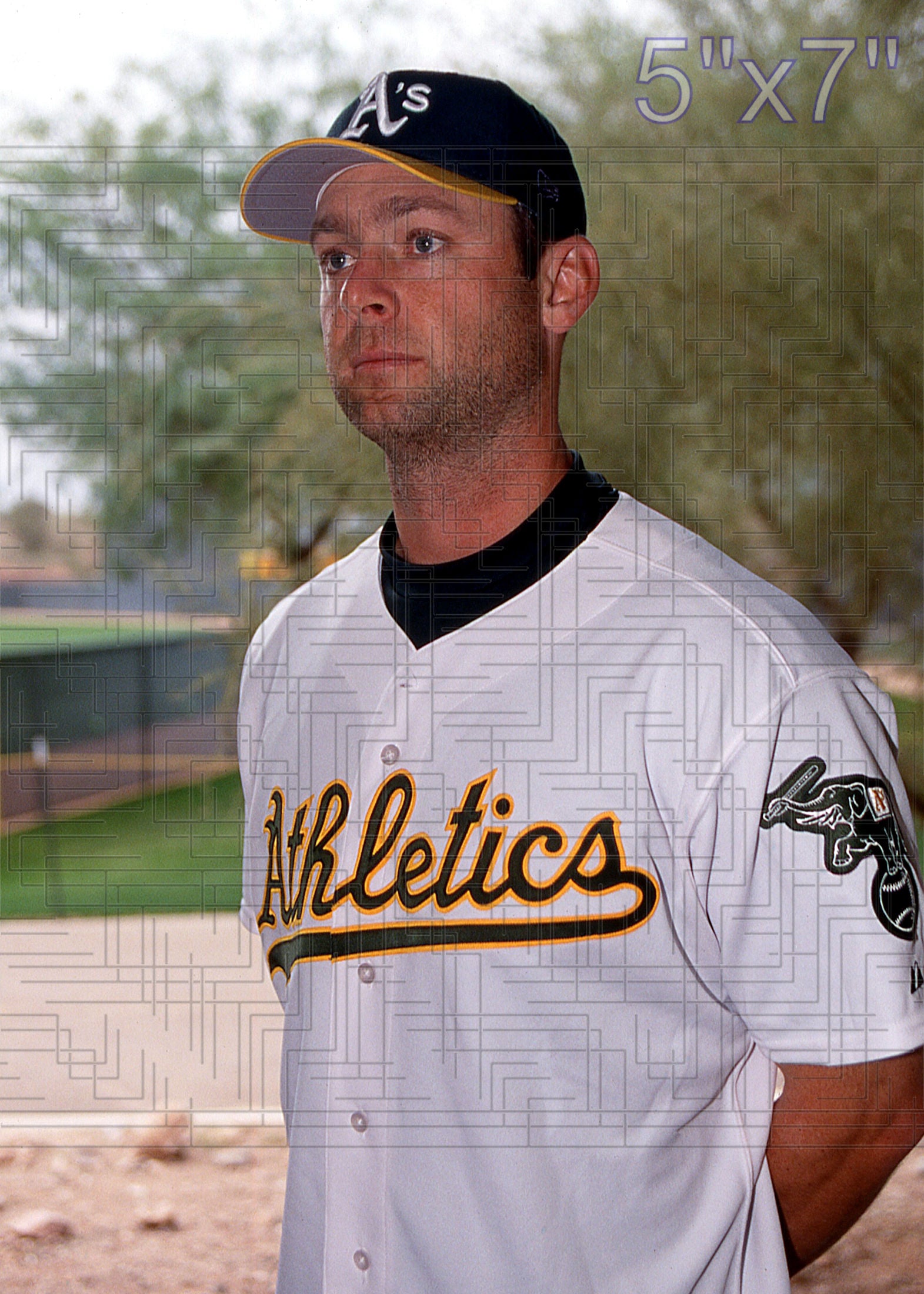 Dave McCarty - 2003 Oakland Athletics - choose a size & style
