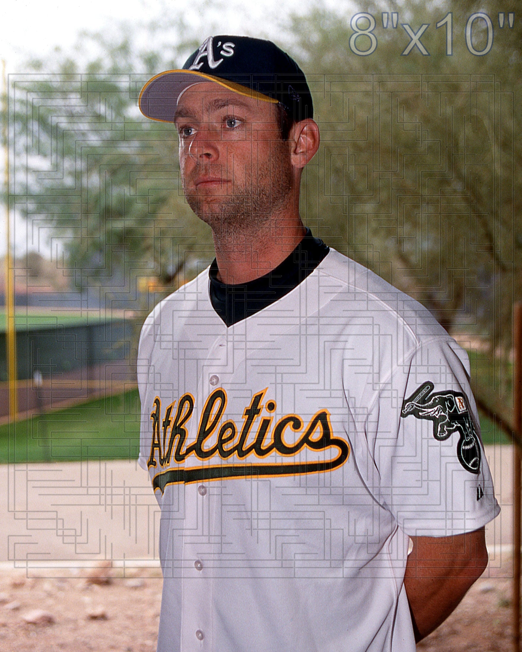 Dave McCarty - 2003 Oakland Athletics - choose a size & style