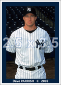Dave Parrish - 2002 New York Yankees - choose a size & style
