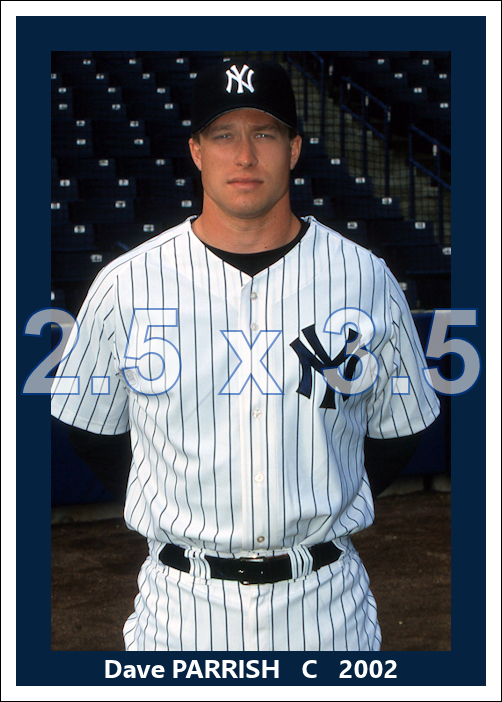 Dave Parrish - 2002 New York Yankees - choose a size & style