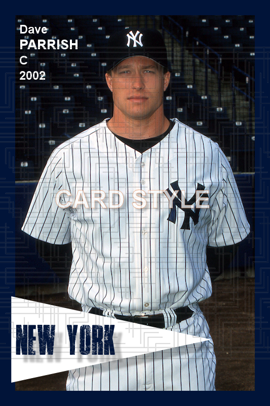 Dave Parrish - 2002 New York Yankees - choose a size & style