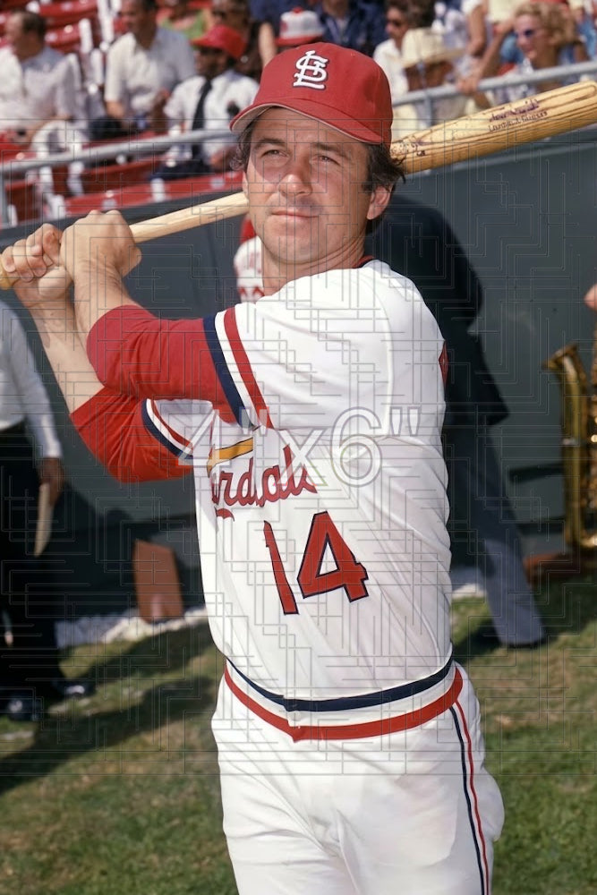 Dave Rader - 1977 St. Louis Cardinals - choose a size & style