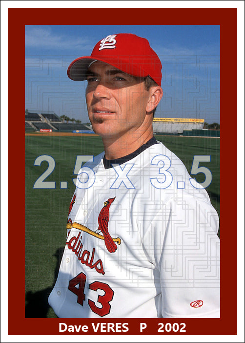 Dave Veres - 2002 St. Louis Cardinals - choose a size & style