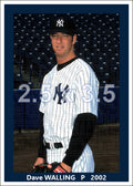 Dave Walling - 2002 New York Yankees - choose a size & style