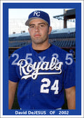 David DeJesus - 2002 Kansas City Royals - choose a size & style