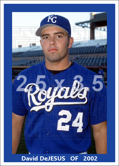 David DeJesus - 2002 Kansas City Royals - choose a size & style
