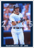 David Dellucci - 2003 New York Yankees - choose a size & style