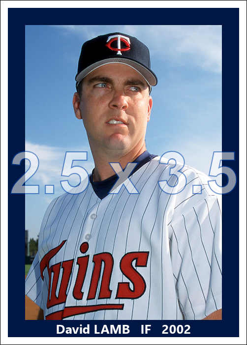 David Lamb - 2002 Minnesota Twins - choose a size & style
