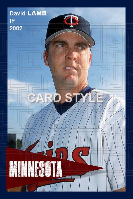 David Lamb - 2002 Minnesota Twins - choose a size & style