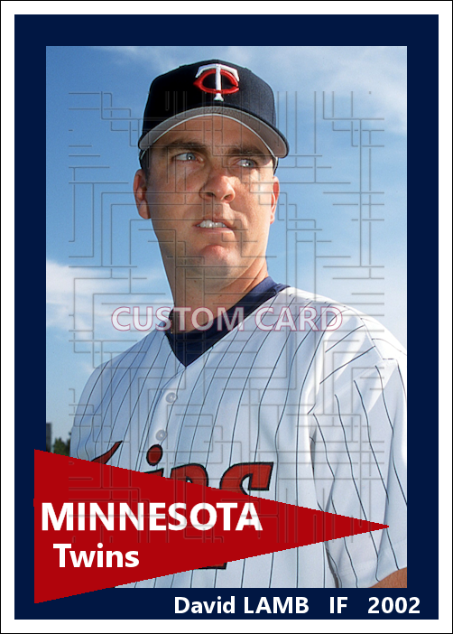 David Lamb - 2002 Minnesota Twins - choose a size & style