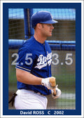 David Ross - 2002 Los Angeles Dodgers - choose a size & style