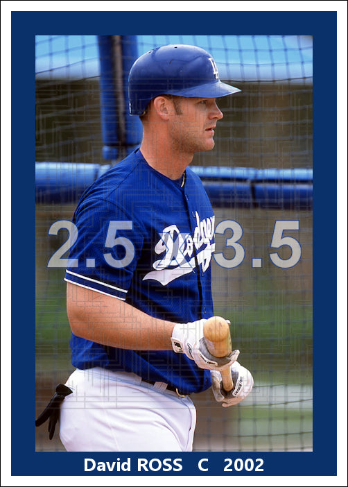 David Ross - 2002 Los Angeles Dodgers - choose a size & style