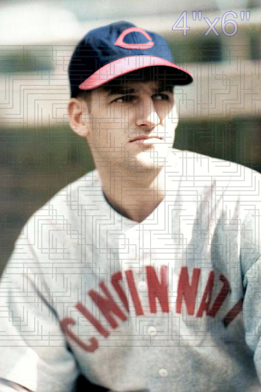 Dee Phillips - 1942 Cincinnati Reds - choose a size & style