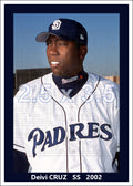 Deivi Cruz - 2002 San Diego Padres - choose a size & style