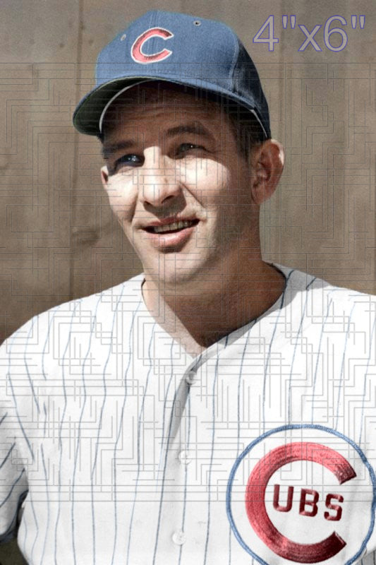 Del Rice - 1960 Chicago Cubs - choose a size & style