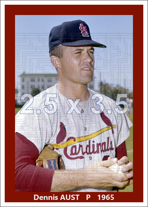 Dennis Aust - 1965 St. Louis Cardinals - choose a size & style