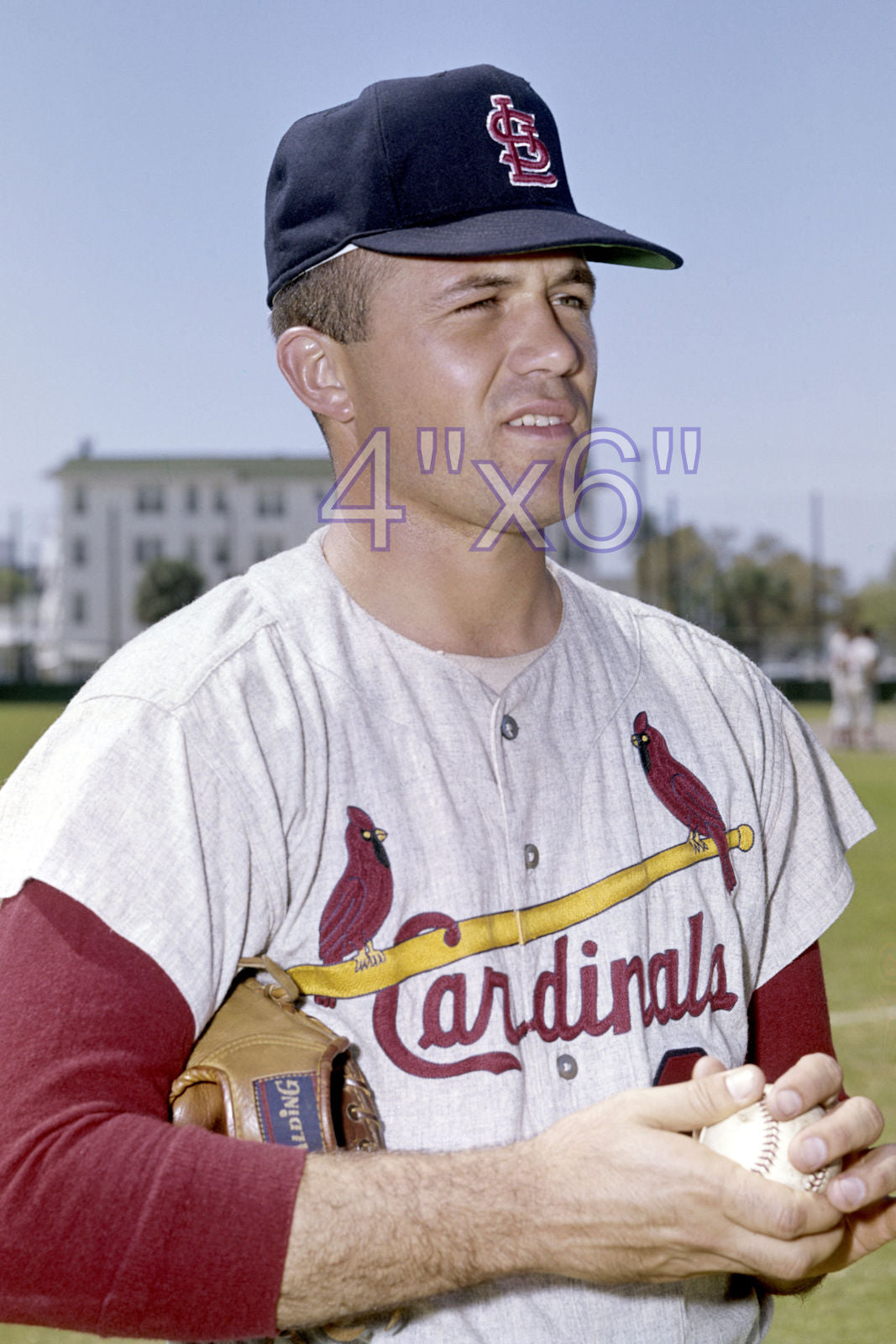 Dennis Aust - 1965 St. Louis Cardinals - choose a size & style