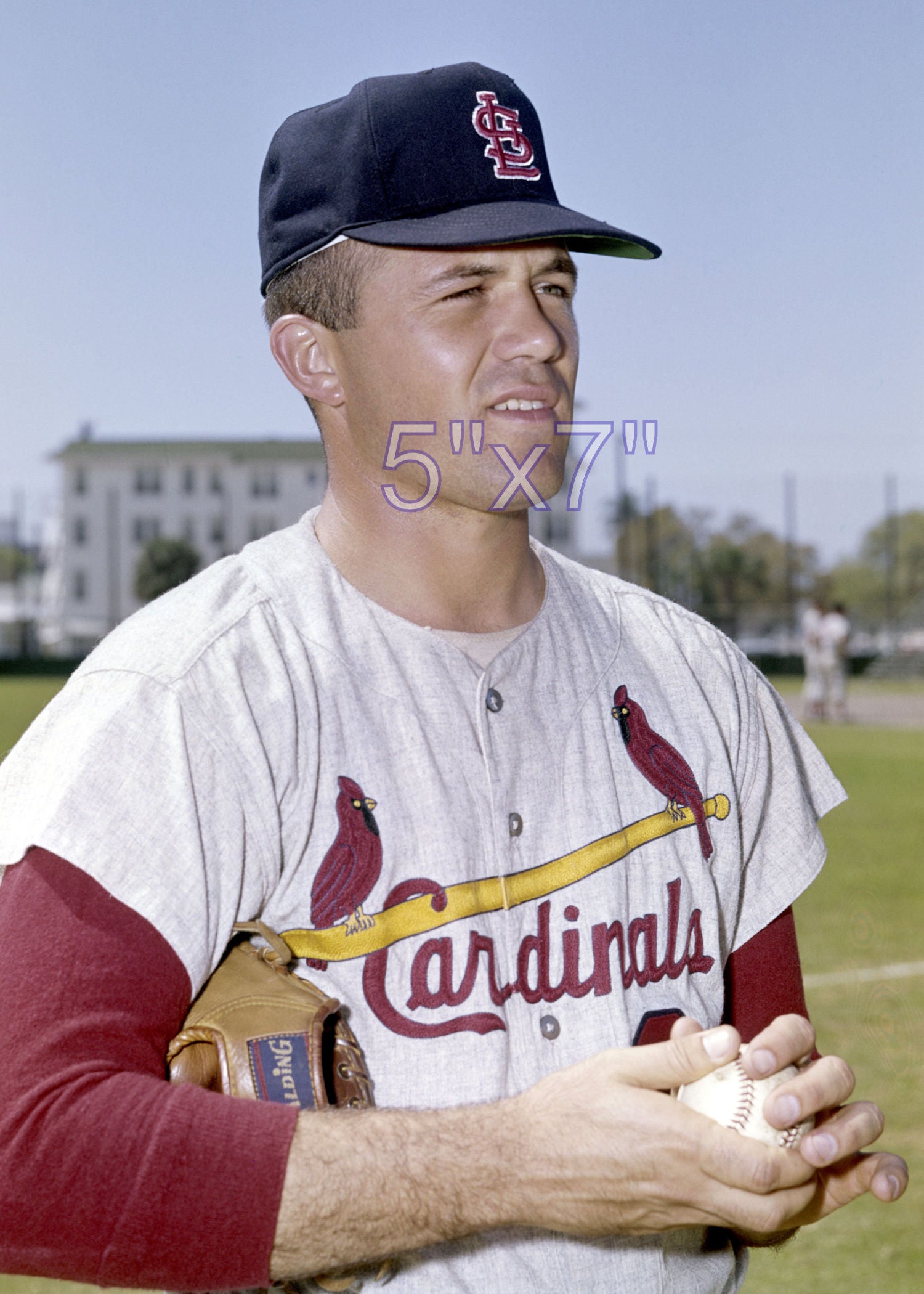 Dennis Aust - 1965 St. Louis Cardinals - choose a size & style